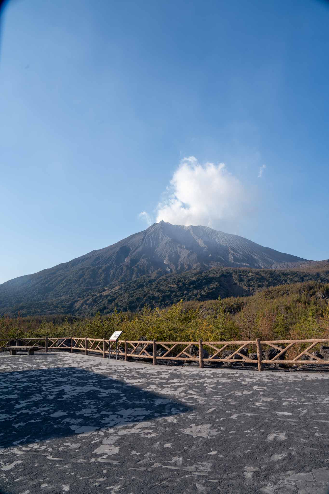 1,000枚以上の商品画像、どう処理する？大量画像加工の効率化テクニック